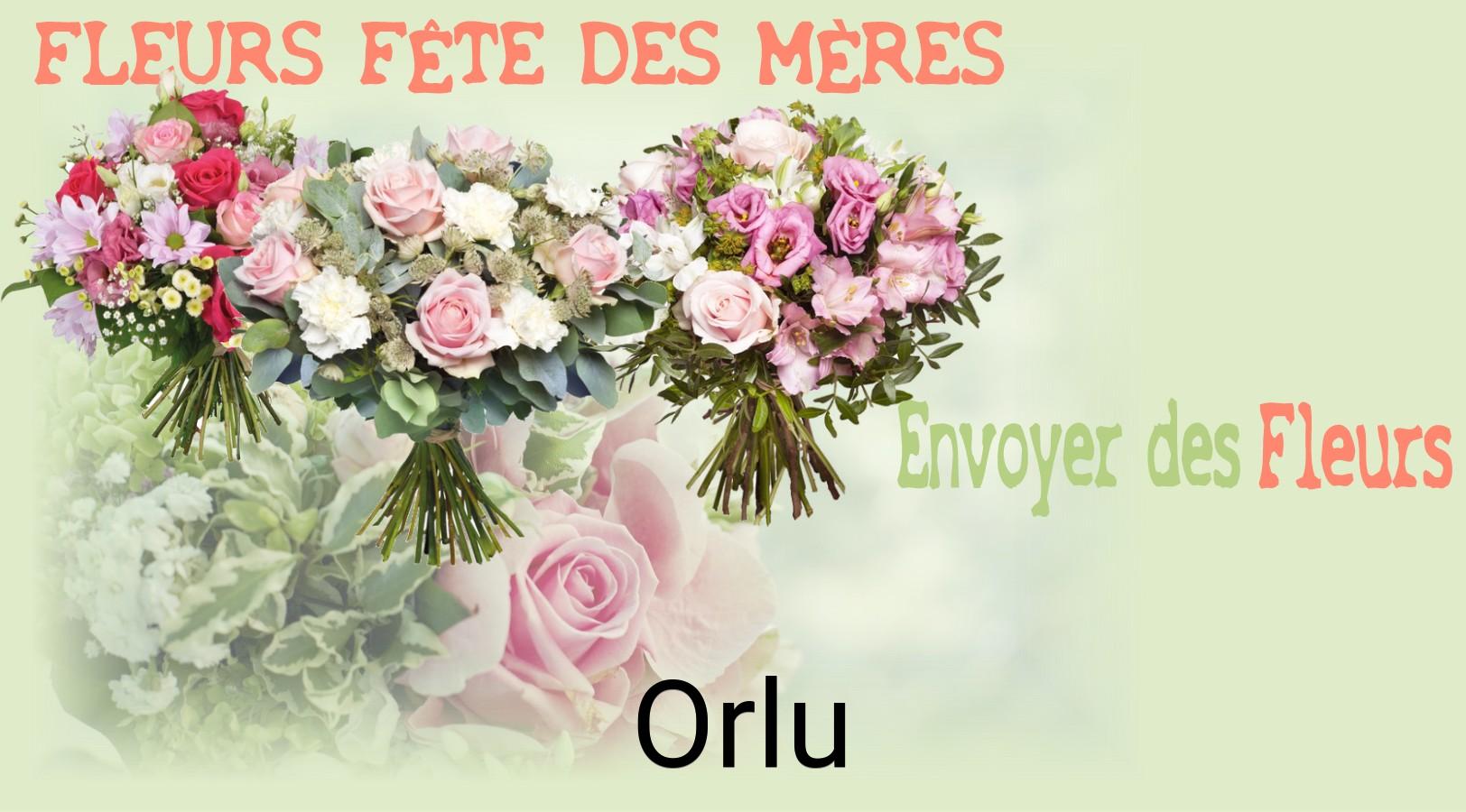 Bouquet de Fête des Mères livré à Orlu